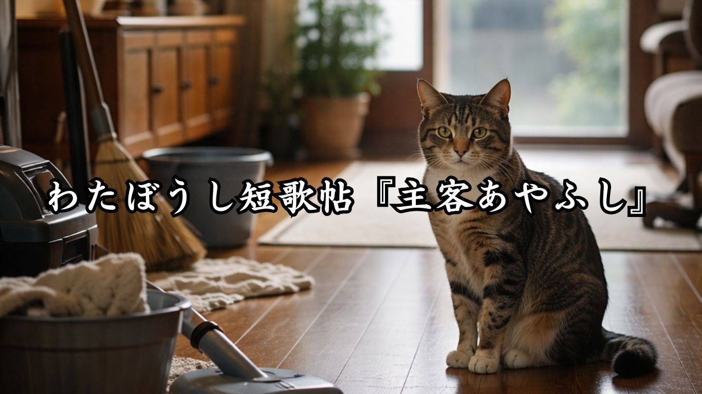 わたぼうし短歌帖『歩幅を戻す街』タイトルイメージ画像