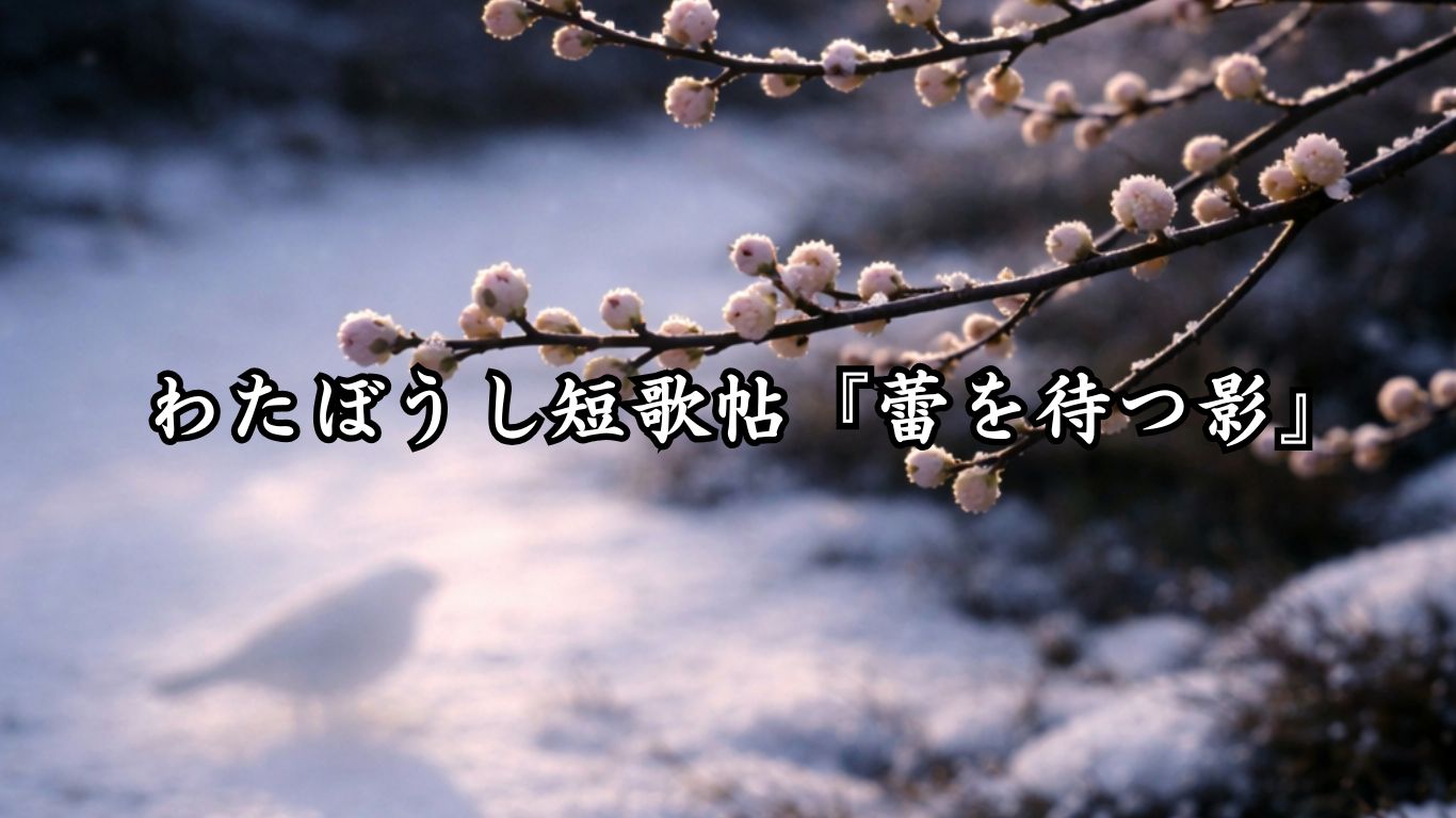 わたぼうし短歌帖『蕾を待つ影』 - わたぼうしの詩小径 ―俳句と短歌帖―