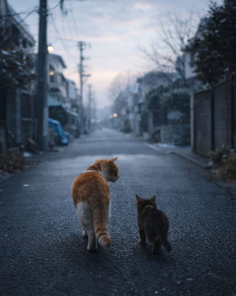 末吉俳句日記「親猫の 子を見やりつつ 冬空に」俳句イメージ画像