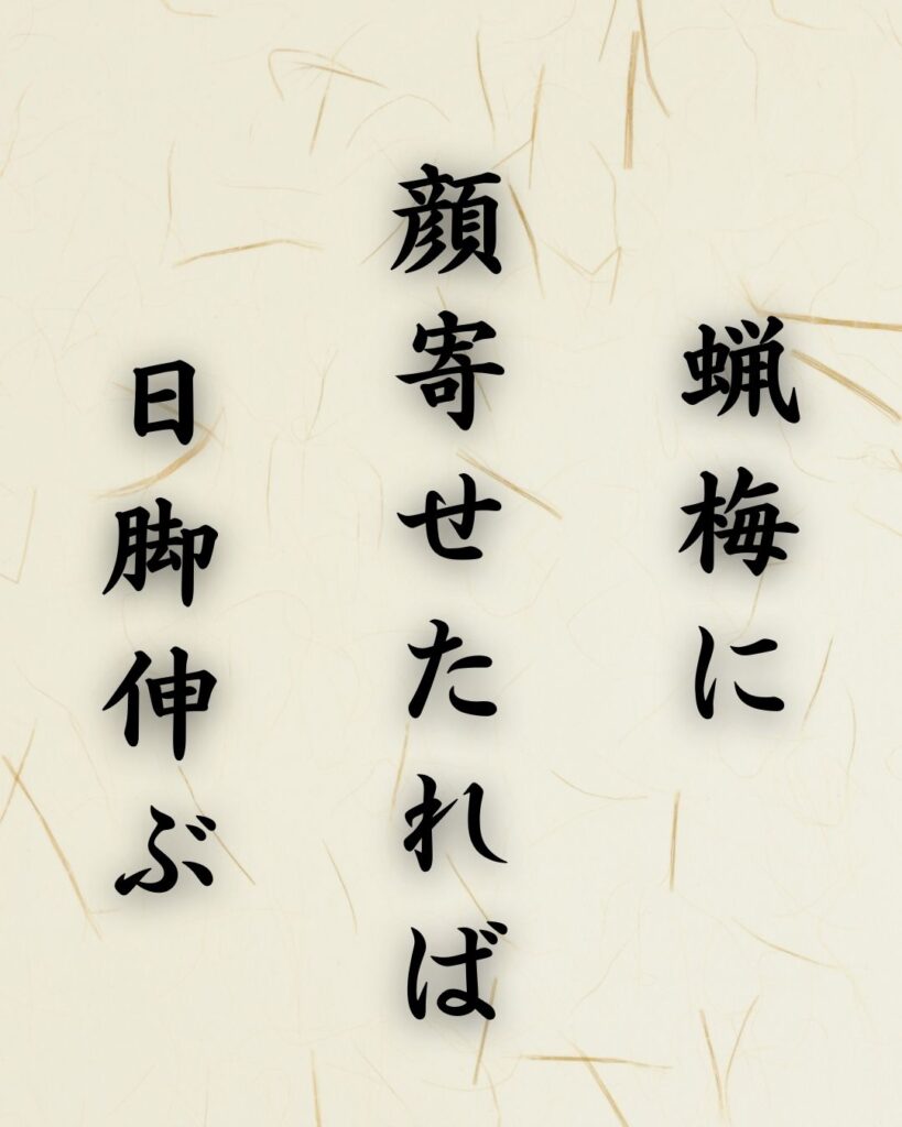 末吉俳句日記「七草や ひと息置きて 粥しみて」俳句テキスト画像