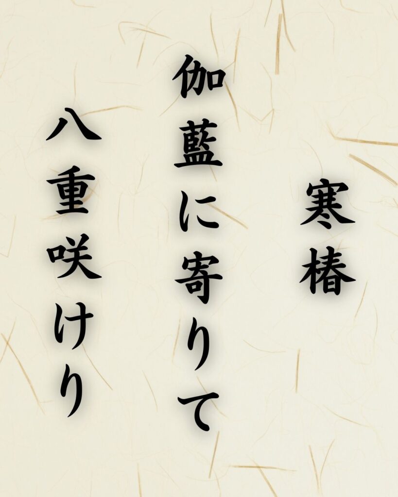 末吉俳句日記「寒椿　伽藍に寄りて　八重咲けり」俳句テキスト画像