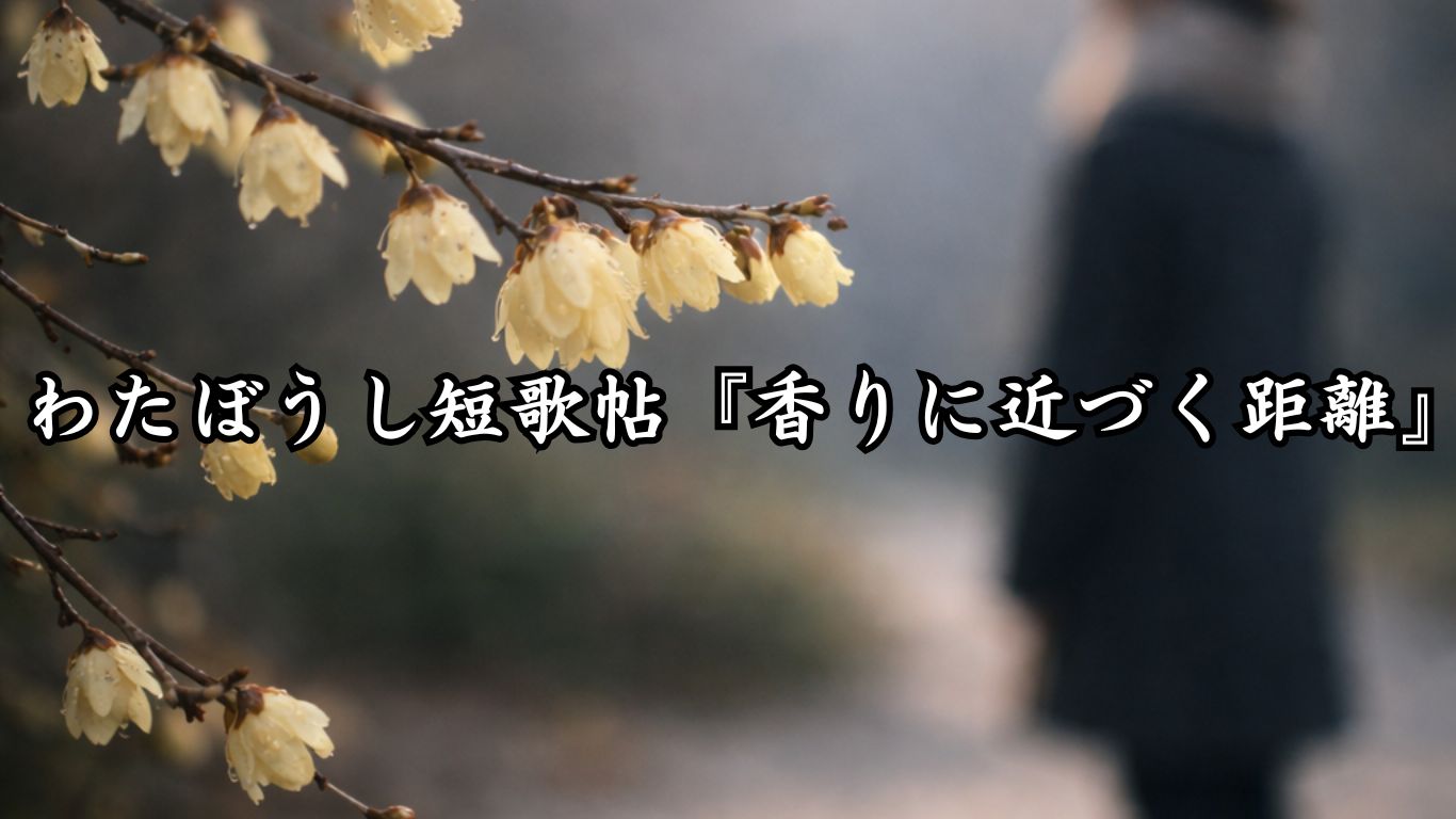 わたぼうし短歌帖『香りに近づく距離』タイトルイメージ画像