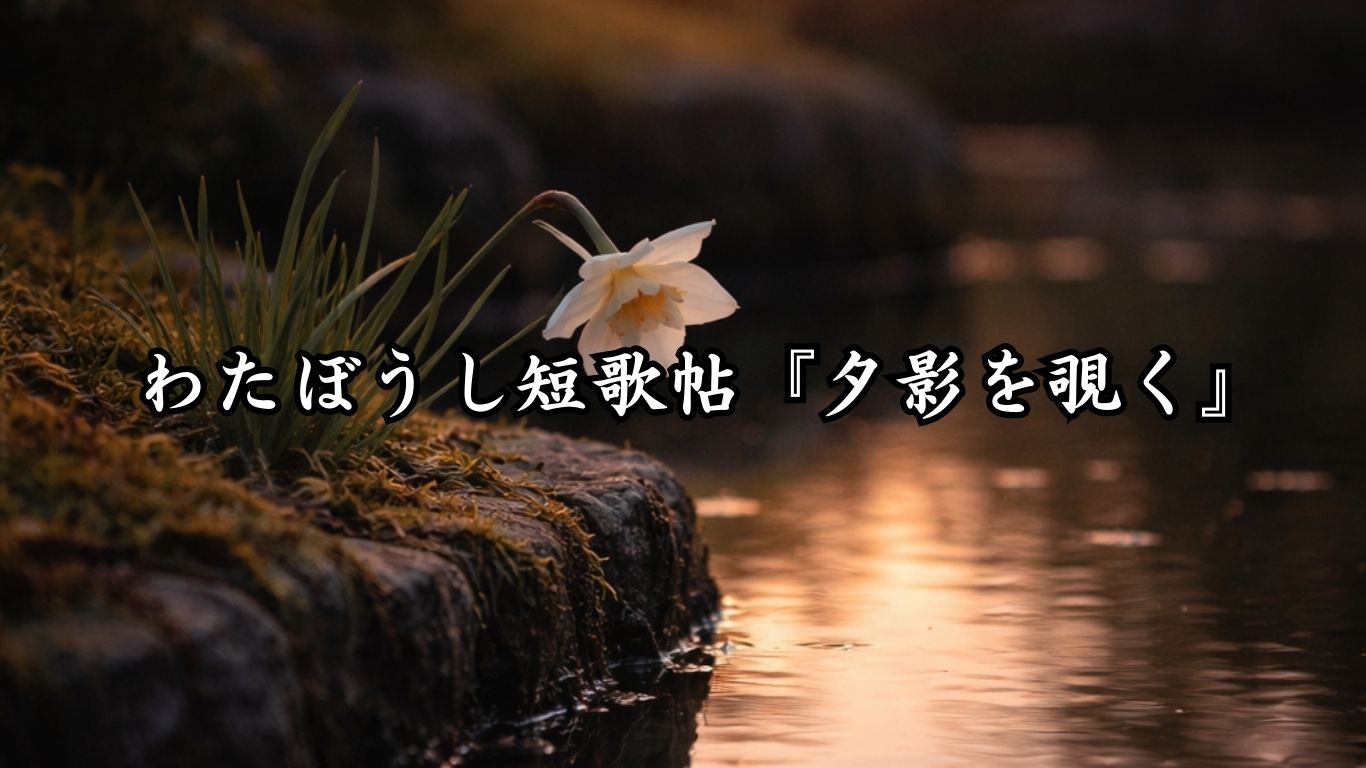 わたぼうし短歌帖『夕影を覗く』タイトルイメージ画像