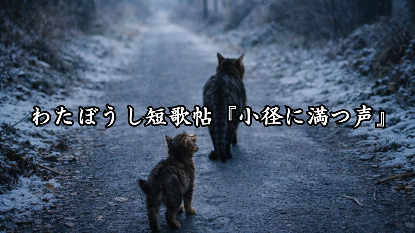 わたぼうし短歌帖『小径に満つ声』タイトルイメージ画像