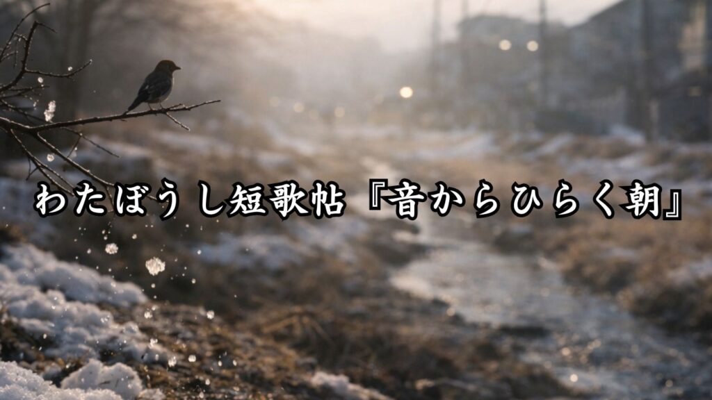 わたぼうし短歌帖『音からひらく朝』 - わたぼうしの詩小径 ―俳句と短歌帖―