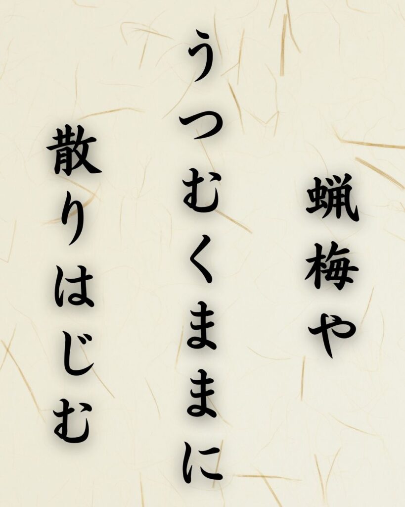 末吉俳句日記「蝋梅や　うつむくままに　散りはじむ」俳句イメージ画像
