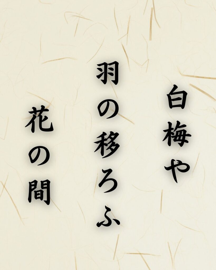 末吉俳句日記「白梅や 羽の移ろふ 花の間」俳句イメージ画像