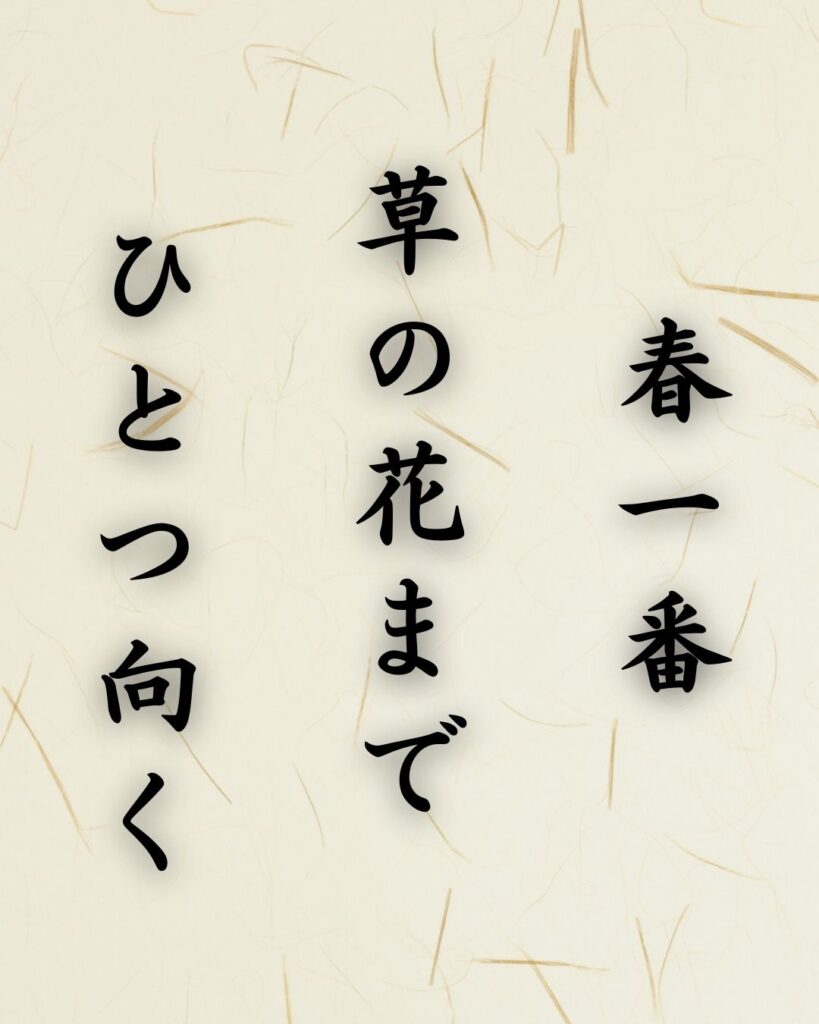 末吉俳句日記「春一番　草の花まで　ひとつ向く」俳句イメージ画像