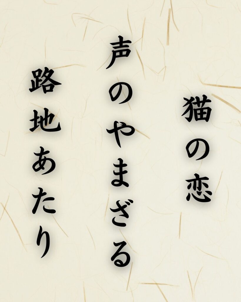 末吉俳句日記「猫の恋 声のやまざる 路地あたり」俳句テキスト画像