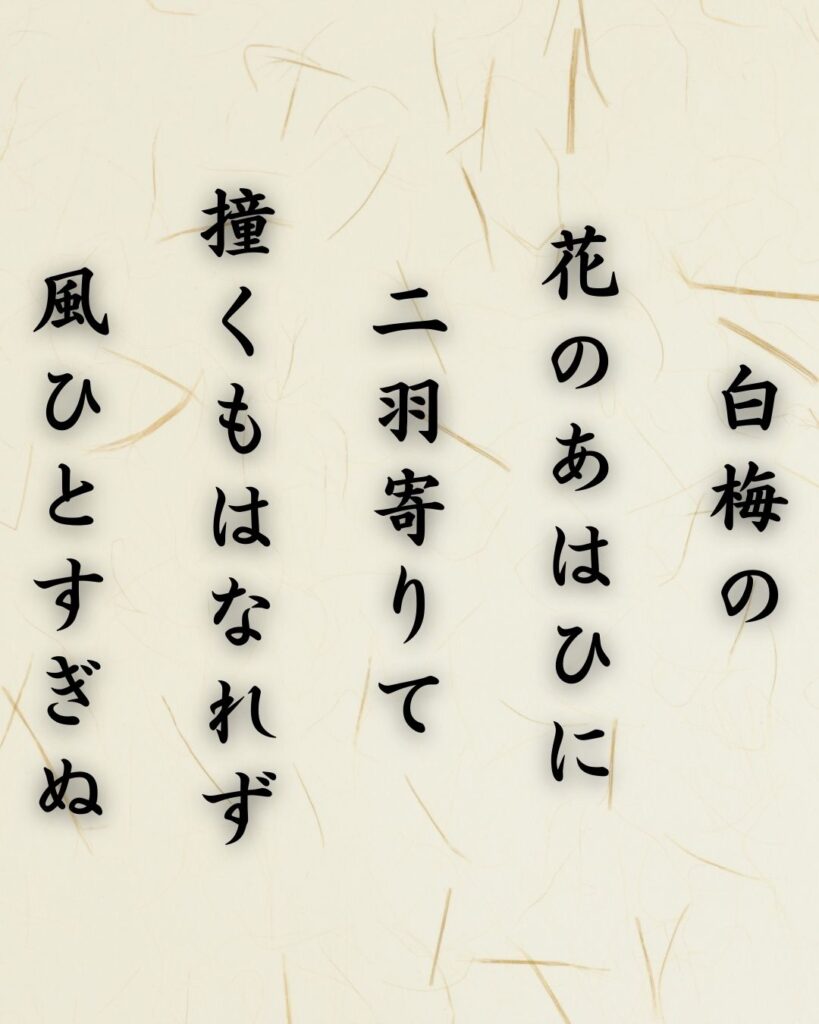 わたぼうし短歌帖「白梅の　花のあはひに　二羽寄りて
撞くもはなれず　風ひとすぎぬ」短歌テキスト画像