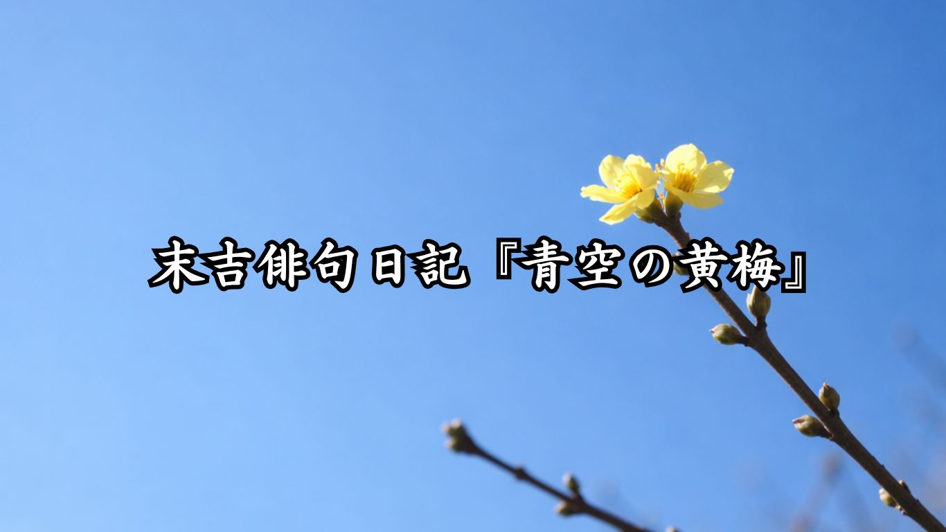 末吉俳句日記『青空の黄梅』タイトルイメージ