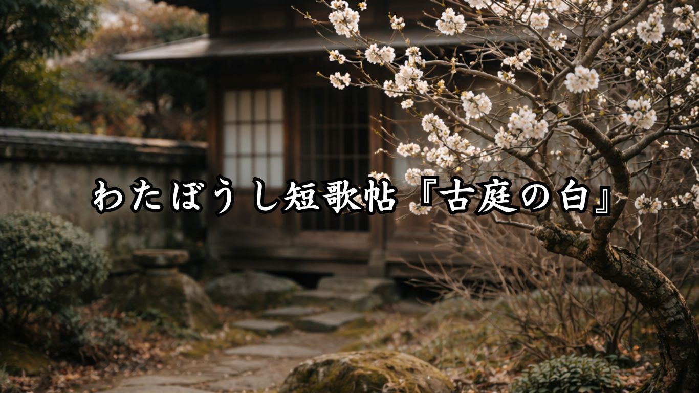 わたぼうし短歌帖『古庭の白』タイトルイメージ画像