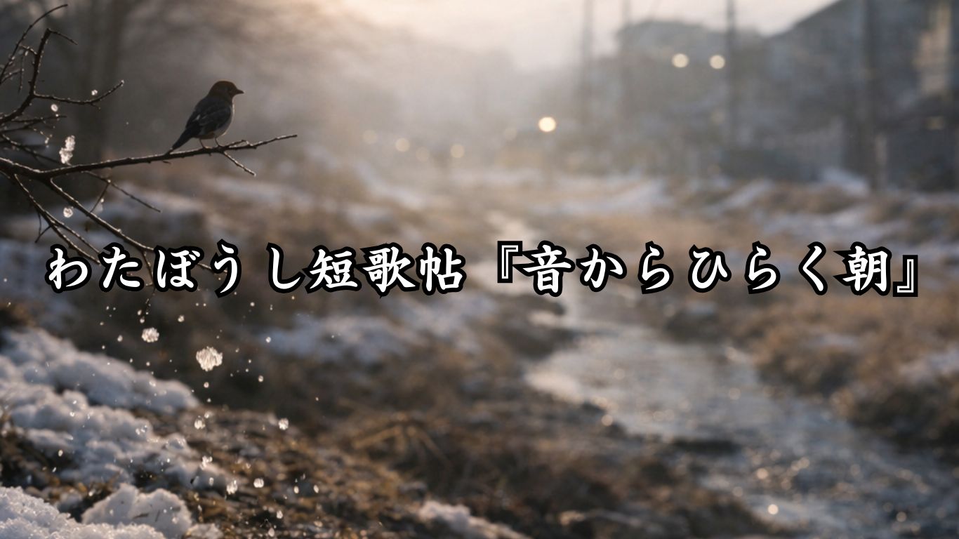 わたぼうし短歌帖『音からひらく朝』タイトルイメージ画像