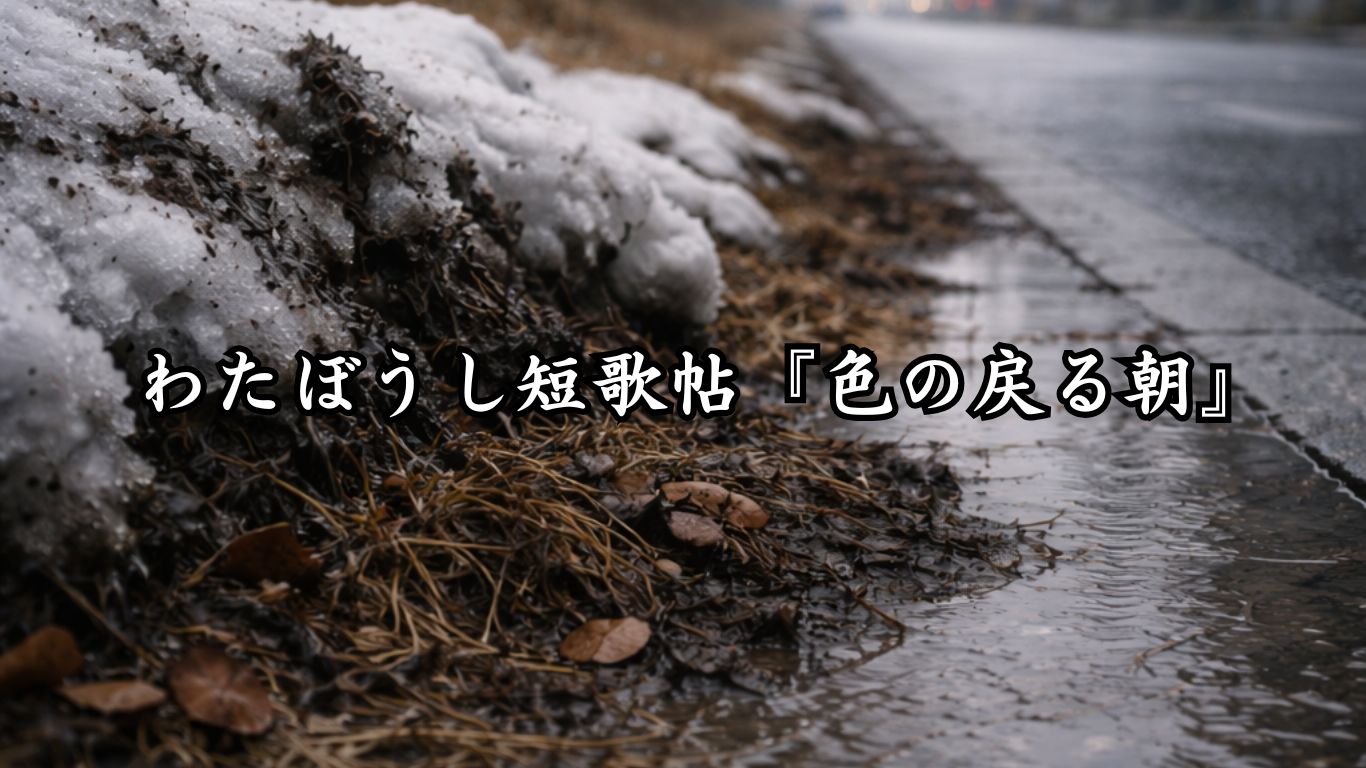 わたぼうし短歌帖『色の戻る朝』タイトルイメージ画像