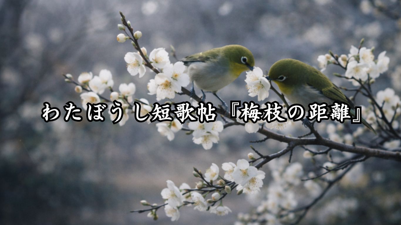 わたぼうし短歌帖『花と月の宵』タイトルイメージ画像