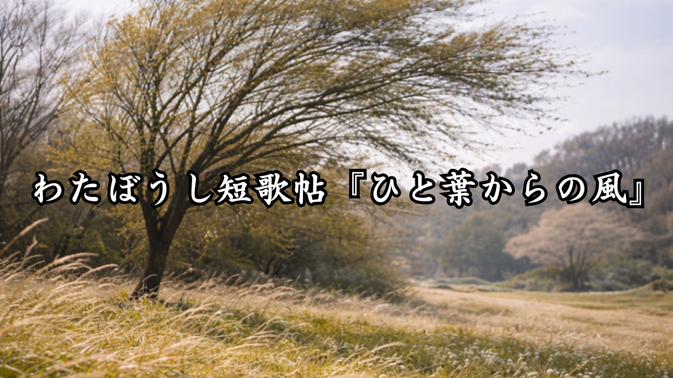 わたぼうし短歌帖『ひと葉からの風』タイトルイメージ画像