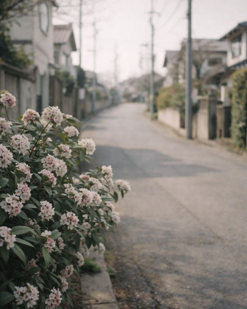 末吉俳句日記「うつつなき 道のかたへに 沈丁花」俳句イメージ画像