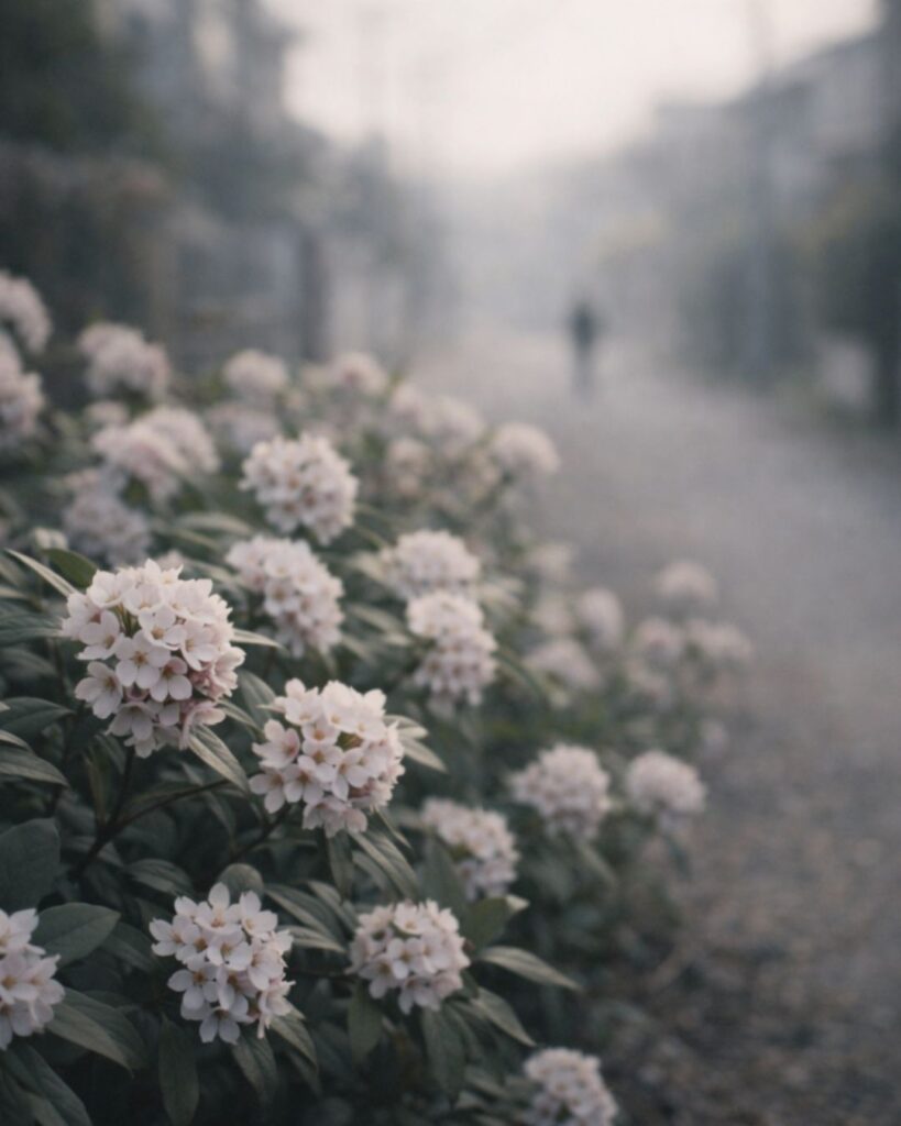わたぼうし短歌帖「あてもなく　ゆく身の先に　沈丁花
足のみわづかに　ゆるみゆきたり」短歌イメージ画像