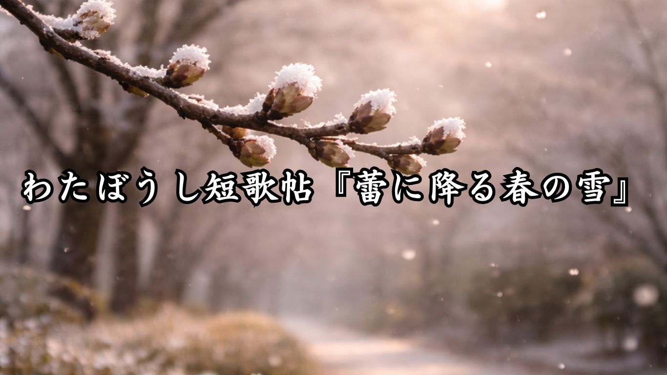 わたぼうし短歌帖『蕾に降る春の雪』タイトルイメージ画像