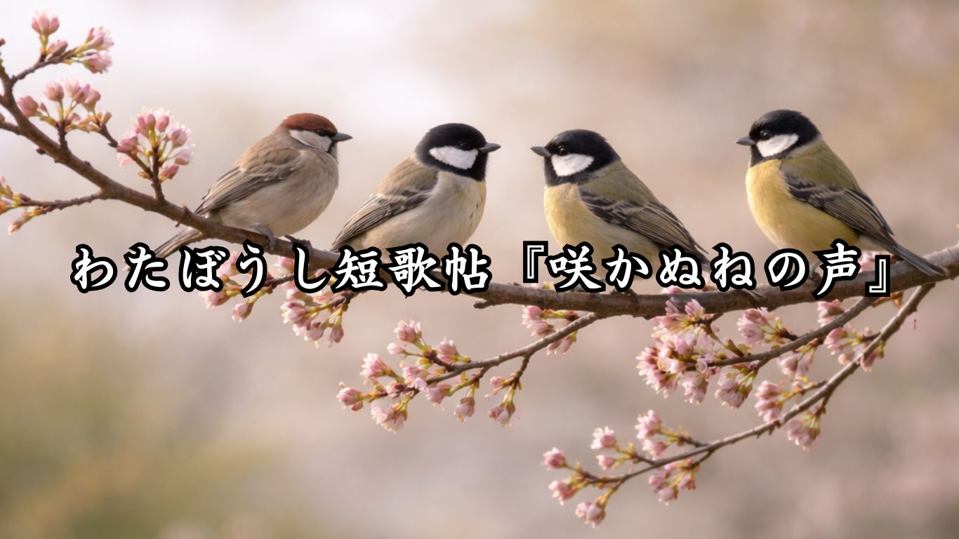 わたぼうし短歌帖『咲かぬねの声』タイトルイメージ画像