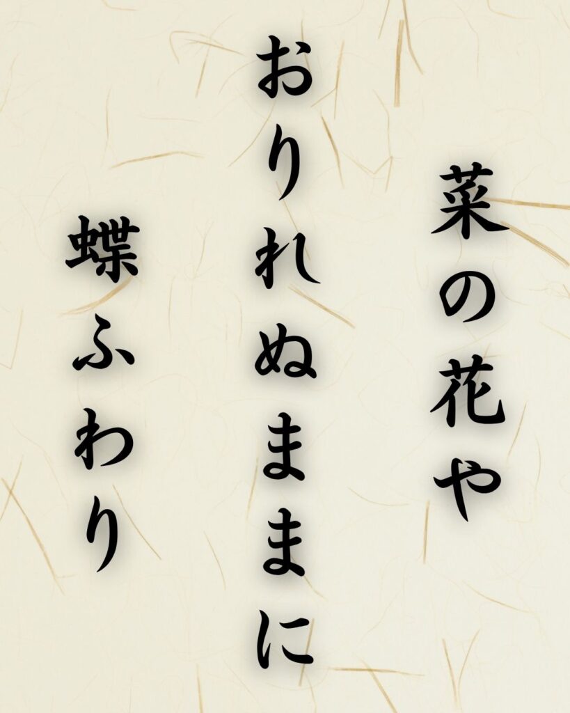 末吉俳句日記「菜の花や　おりれぬままに　蝶ふわり」俳句テキスト画像