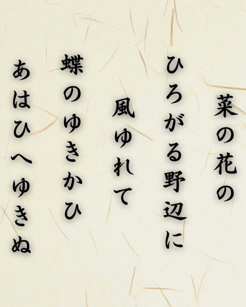 わたぼうし短歌帖「菜の花の　ひろがる野辺に　風ゆれて
蝶のゆきかひ　あはひへゆきぬ」短歌テキスト画像