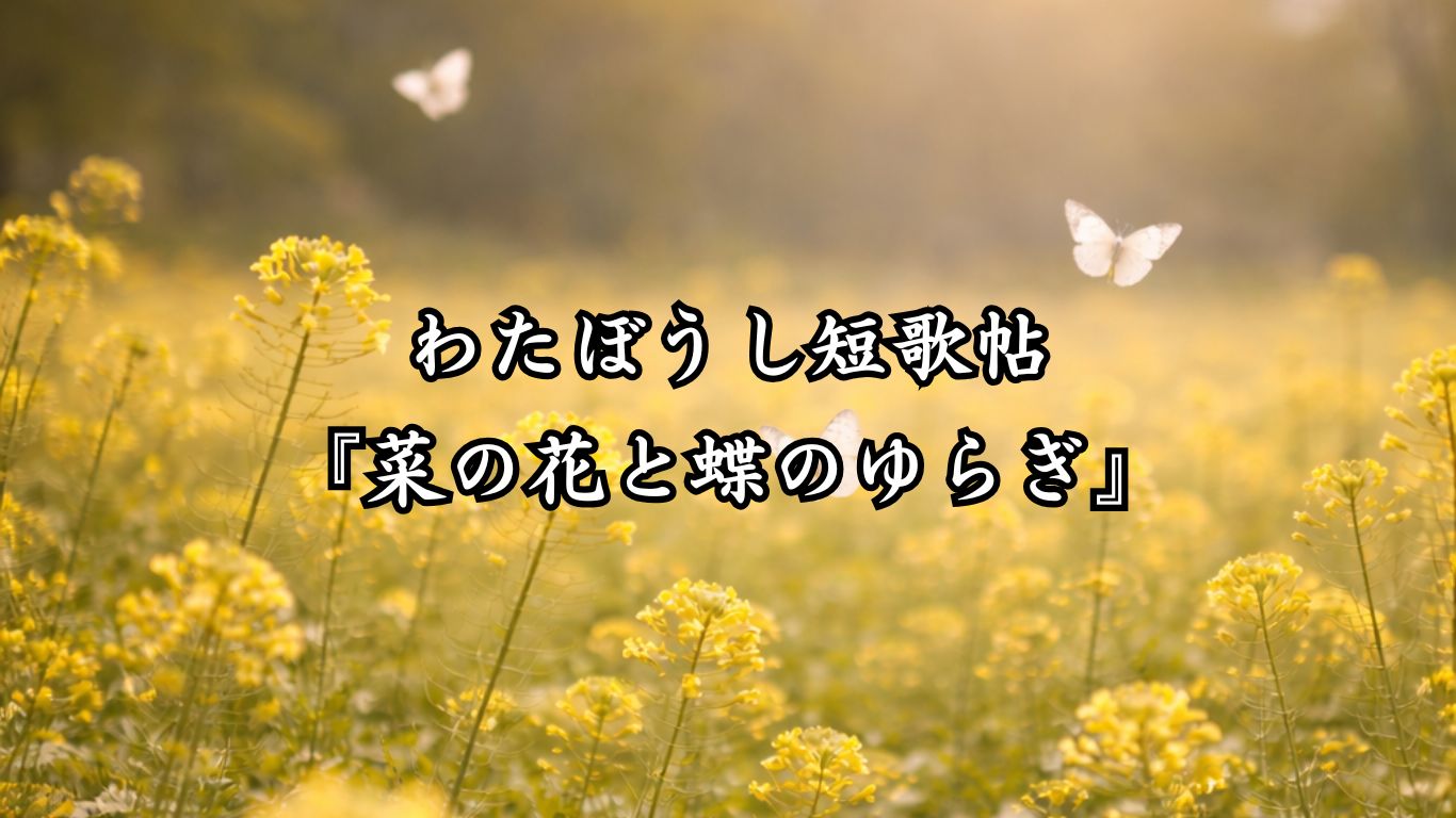 わたぼうし短歌帖『菜の花と蝶のゆらぎ』タイトルイメージ画像