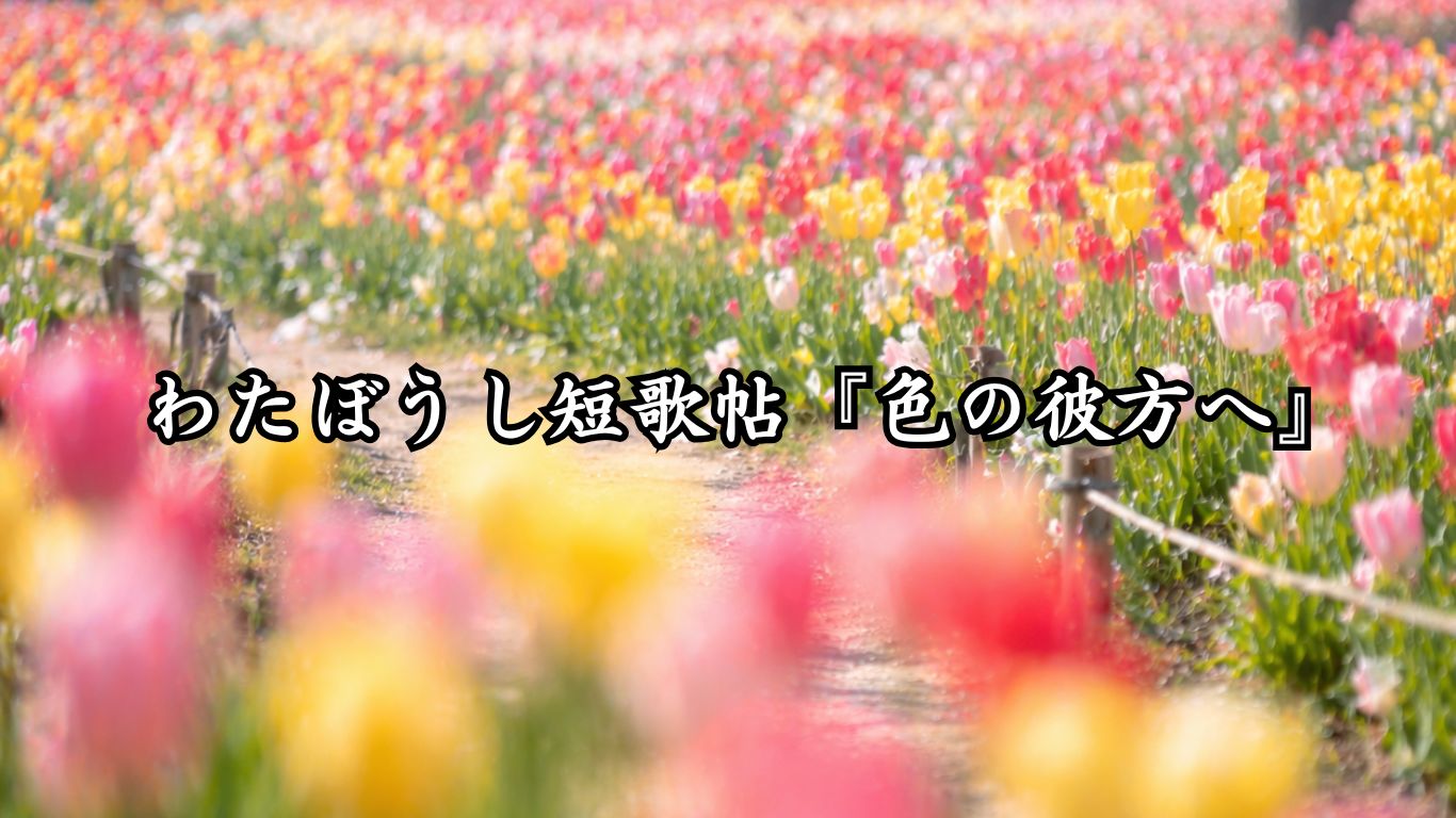 わたぼうし短歌帖『色の彼方へ』タイトルイメージ画像