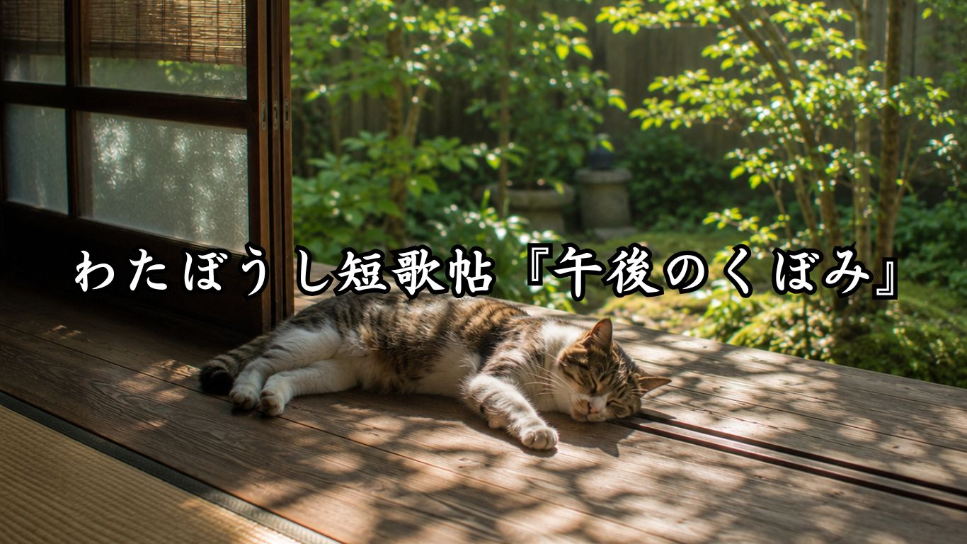 わたぼうし短歌帖『午後のくぼみ』 - わたぼうしの詩小径 ―俳句と短歌帖―