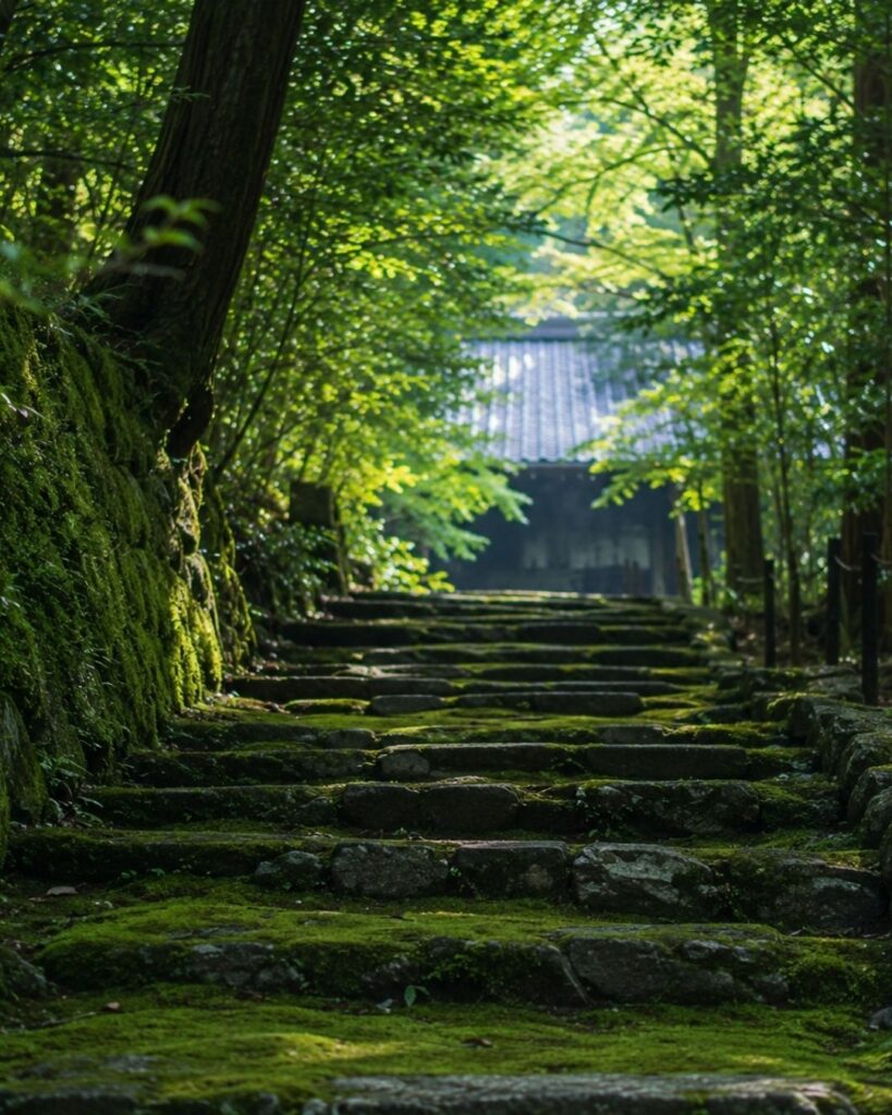 末吉俳句日記「夏立つや　風をたどれば　苔青し」俳句イメージ画像