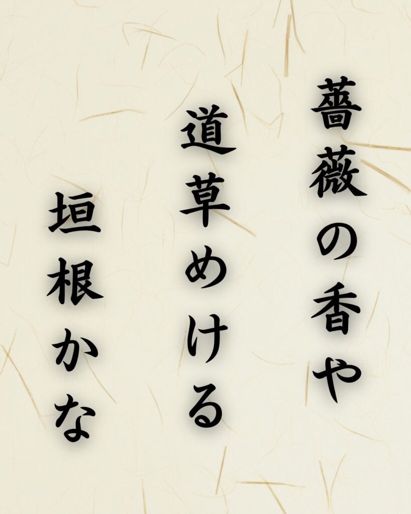 末吉俳句日記「薔薇の香や　道草めける　垣根かな」俳句テキスト画像