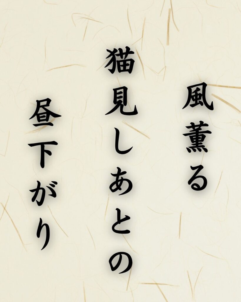 末吉俳句日記「風薫る 猫見しあとの 昼下がり」俳句テキスト画像