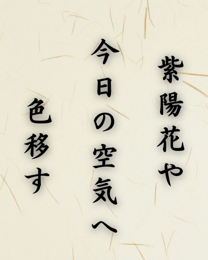 末吉俳句日記「紫陽花や 今日の空気へ 色移す」俳句テキスト画像