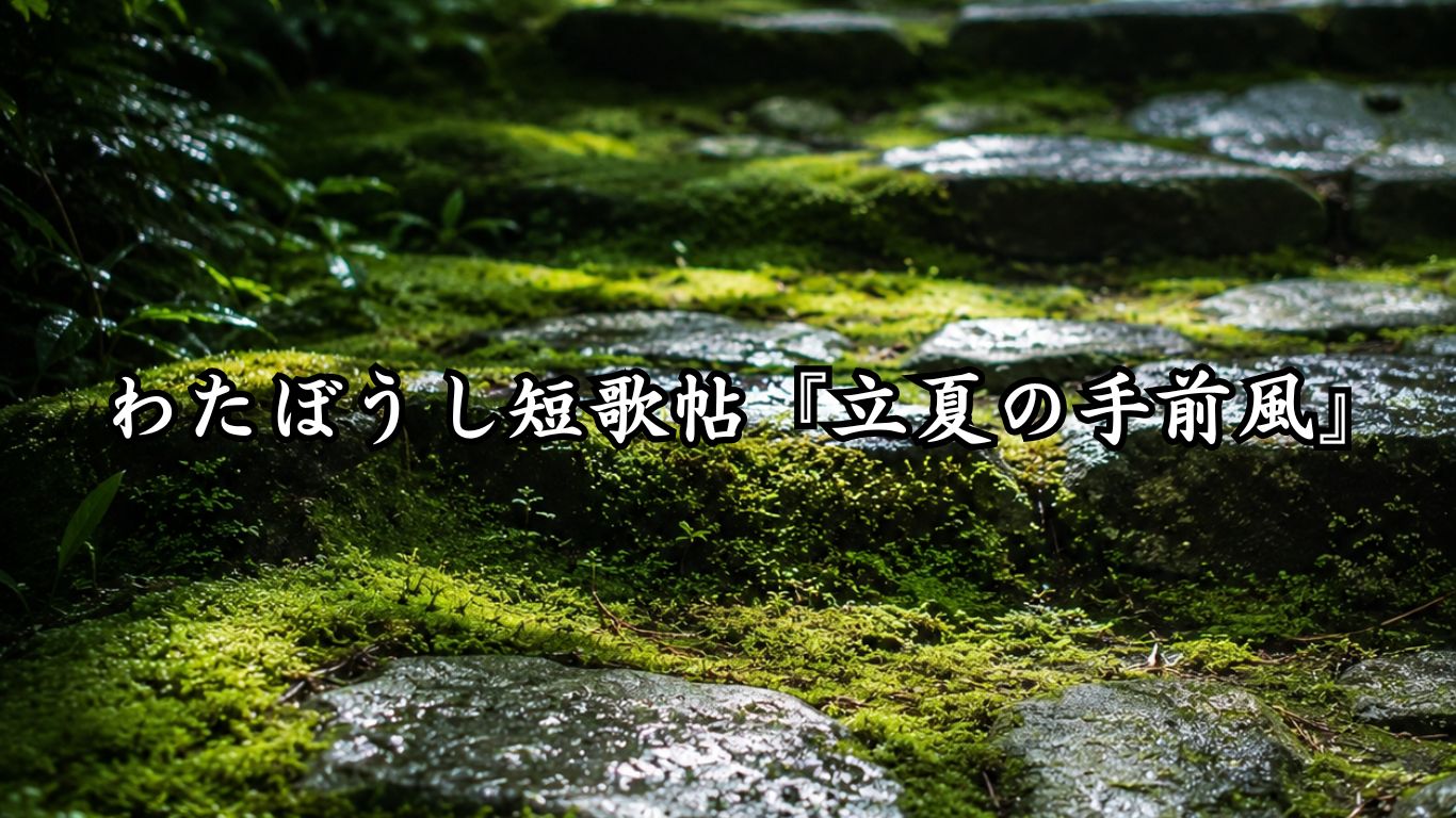 わたぼうし短歌帖『立夏の手前風』タイトルイメージ画像