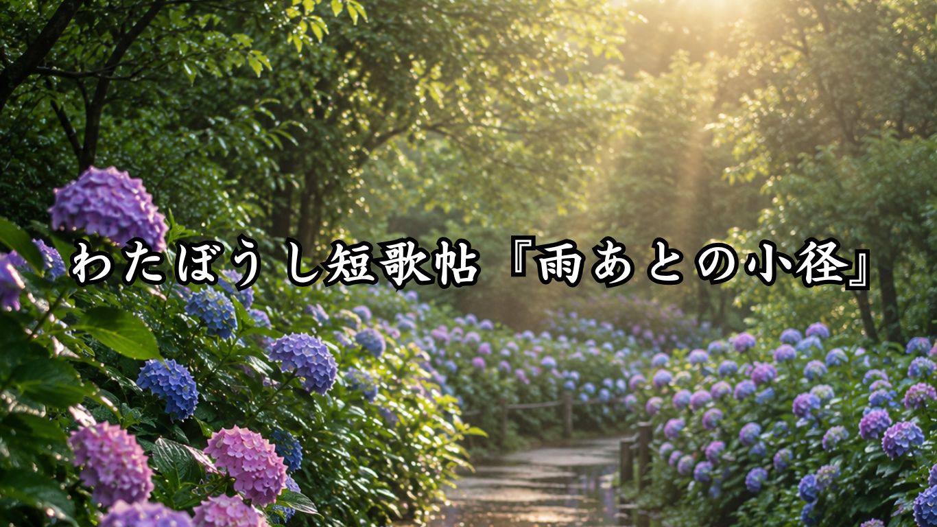 わたぼうし短歌帖『雨あとの小径』タイトルイメージ画像