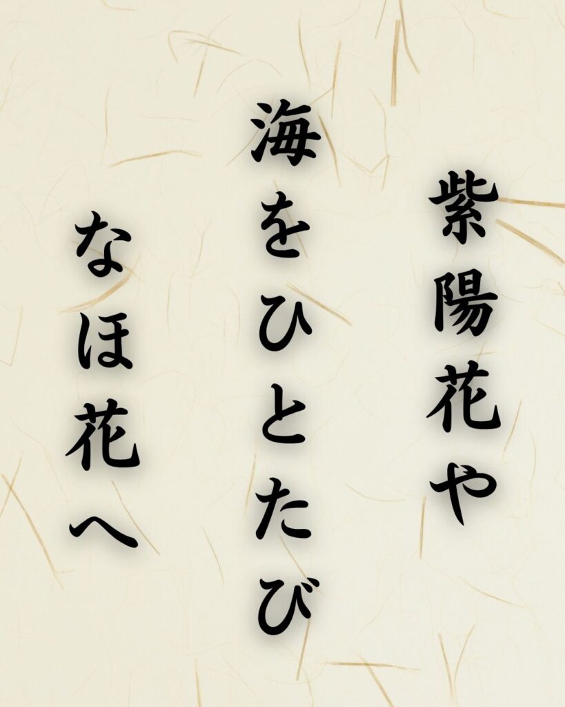 末吉俳句日記「紫陽花や　海をひとたび　なほ花へ」俳句テキスト画像