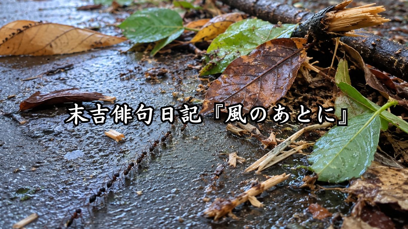 末吉俳句日記『風のあとに』タイトルイメージ