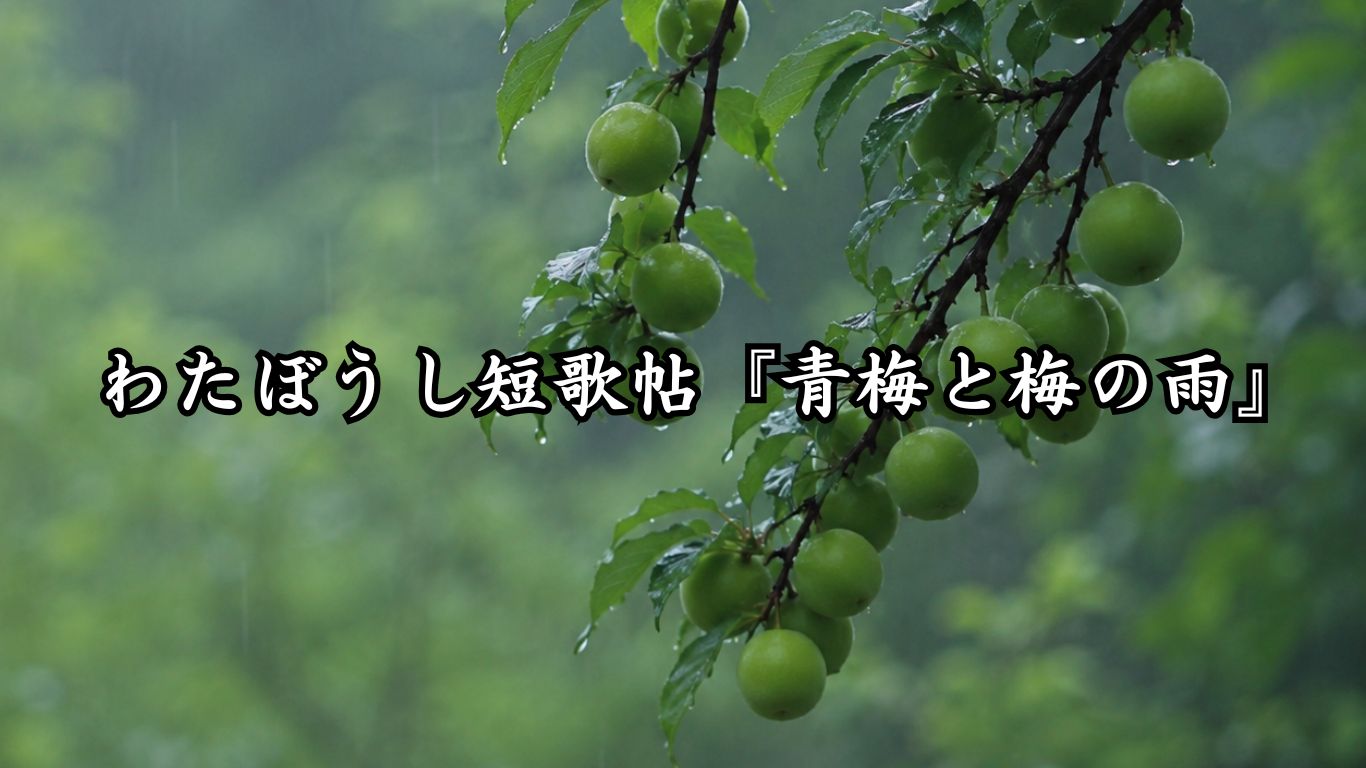 わたぼうし短歌帖『青梅と梅の雨』タイトルイメージ画像