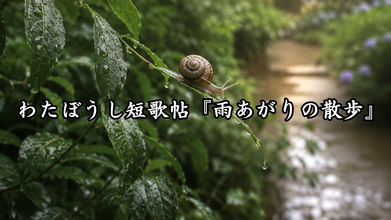 わたぼうし短歌帖『雨あがりの散歩』タイトルイメージ画像