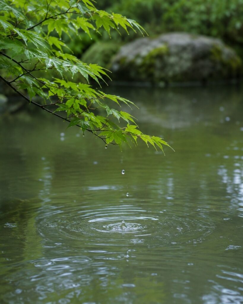 末吉俳句日記「若葉より　雫ひとつの　波紋かな」俳句イメージ画像