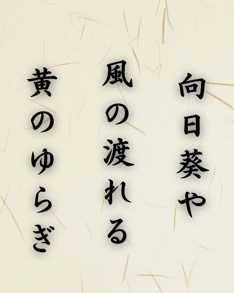 末吉俳句日記「向日葵や 風の渡れる 黄のゆらぎ」俳句テキスト画像