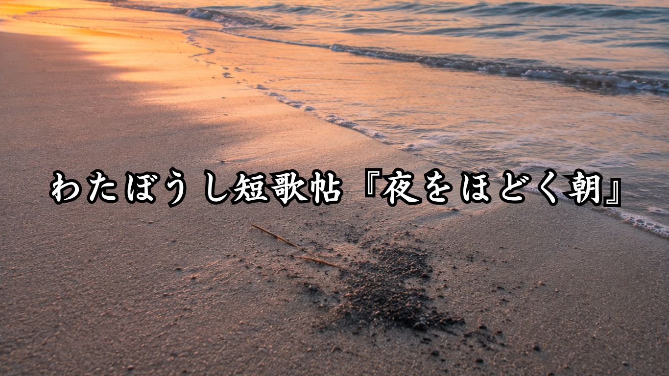 わたぼうし短歌帖『夜をほどく朝』タイトルイメージ画像