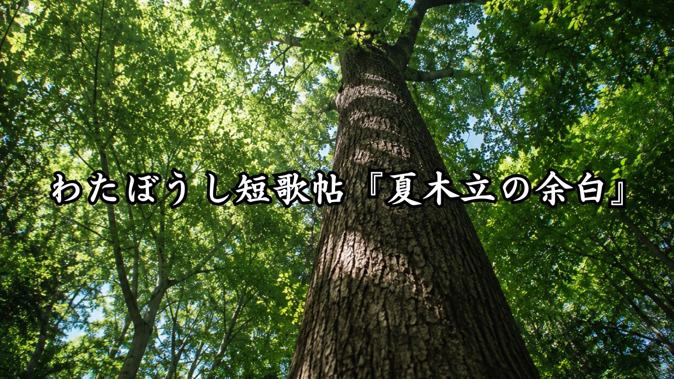 わたぼうし短歌帖『夏木立の余白』タイトルイメージ画像