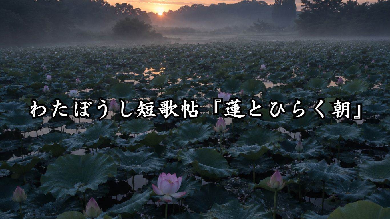 わたぼうし短歌帖『蓮とひらく朝』タイトルイメージ画像