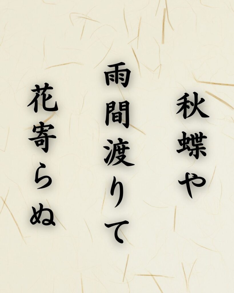 末吉俳句日記「秋蝶や 雨間渡りて 花寄らぬ」俳句テキスト画像