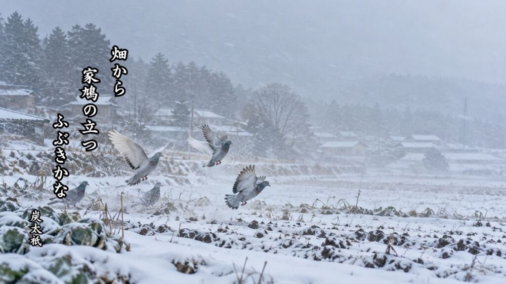 雪にまつわる冬の季語12選｜有名俳人の句で味わう雪景色『畑から　家鳩の立つ　ふぶきかな』炭太祇の俳句のイメージイラスト画像
